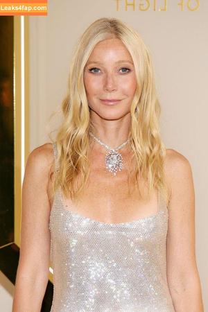 Gwyneth Paltrow photo #0504