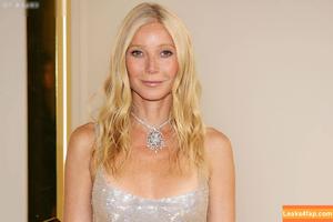 Gwyneth Paltrow photo #0507