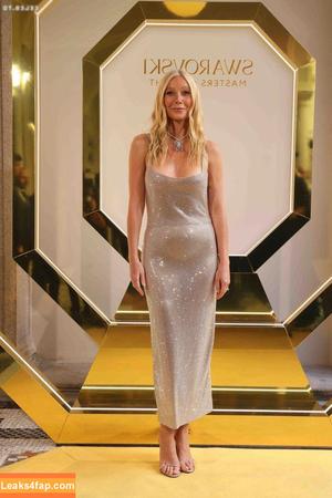 Gwyneth Paltrow photo #0509