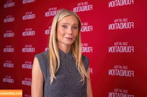 Gwyneth Paltrow photo #0566