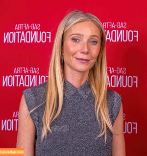 Gwyneth Paltrow photo #0567