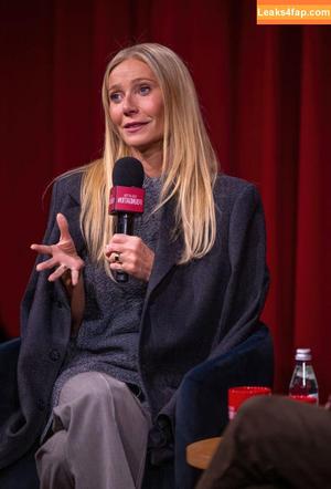 Gwyneth Paltrow photo #0569