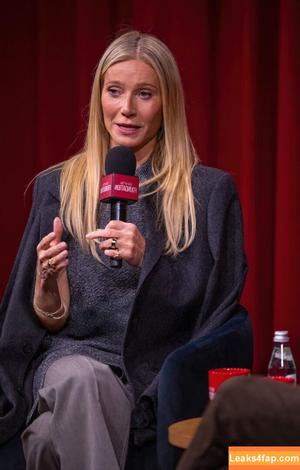 Gwyneth Paltrow photo #0571