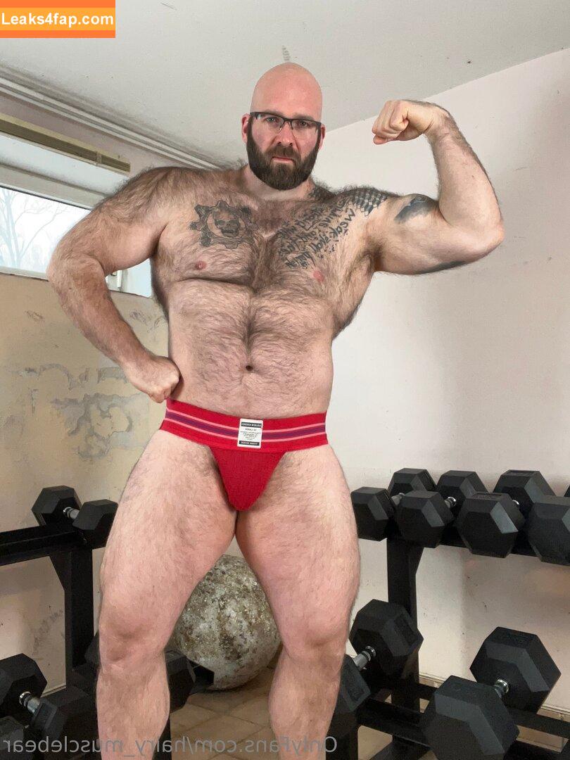 hairy_musclebear /  leaked photo photo #0085