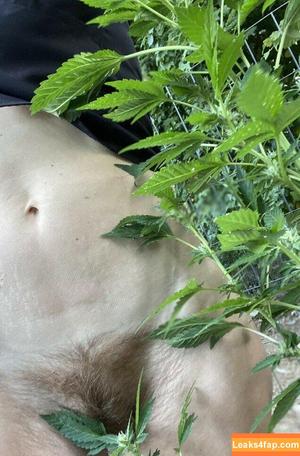 Hairy Women photo #3104