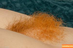 Hairy Women photo #5135