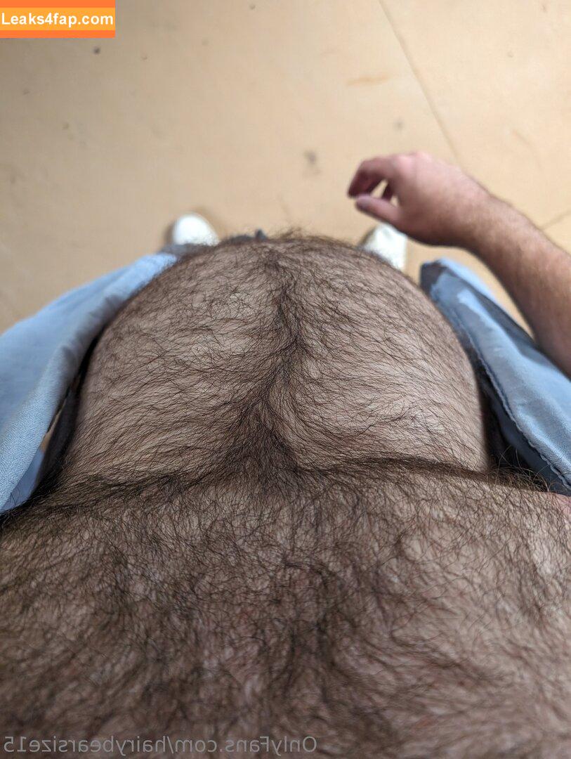 hairybearsize15 / 315lbdaddybear leaked photo photo #0001