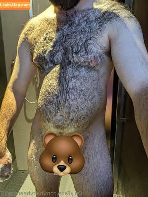 hairybearsize15 photo #0013