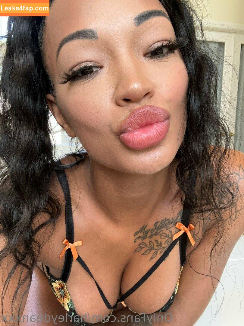 Harley Dean / TooooMuchAtOnce / harleydean / realharleyydean leaked photo photo #0397