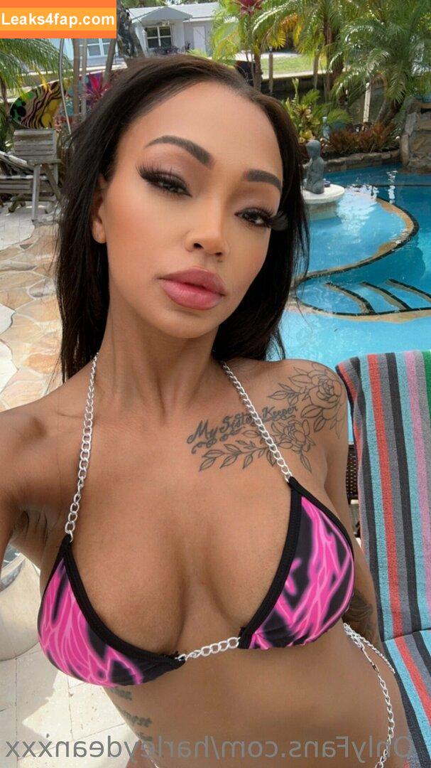 Harley Dean / TooooMuchAtOnce / harleydean / realharleyydean leaked photo photo #0399