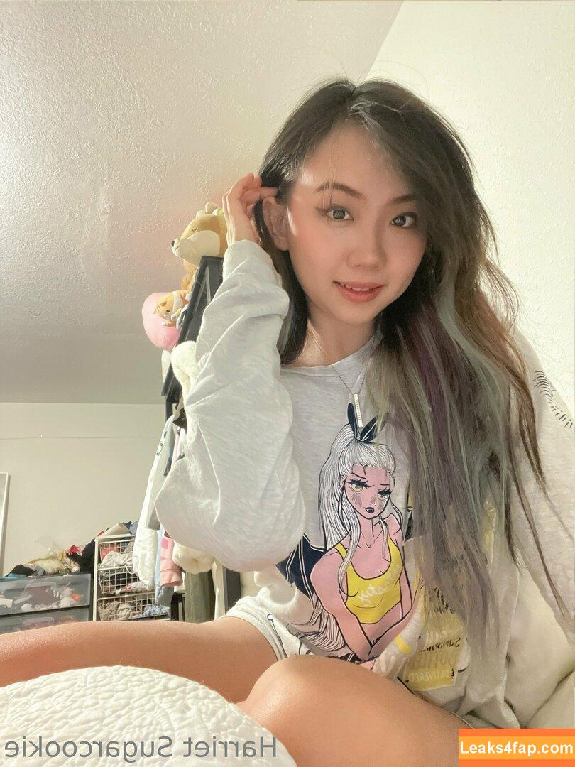 Harriet Sugarcookie / harrietsugarcookie / hazsugarcookie / hsugarcookie слитое фото фото #0105