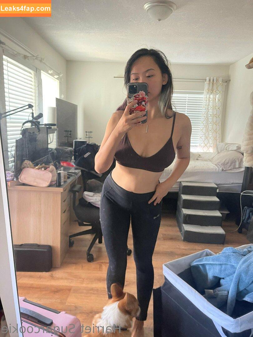 Harriet Sugarcookie / harrietsugarcookie / hazsugarcookie / hsugarcookie слитое фото фото #0113