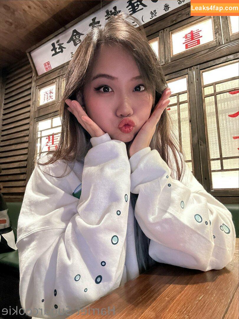 Harriet Sugarcookie / harrietsugarcookie / hazsugarcookie / hsugarcookie слитое фото фото #0120