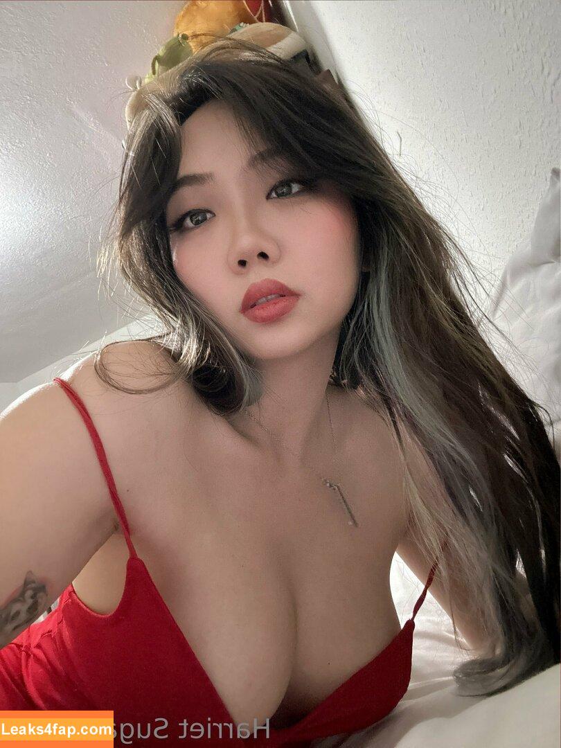 Harriet Sugarcookie / harrietsugarcookie / hazsugarcookie / hsugarcookie слитое фото фото #0127