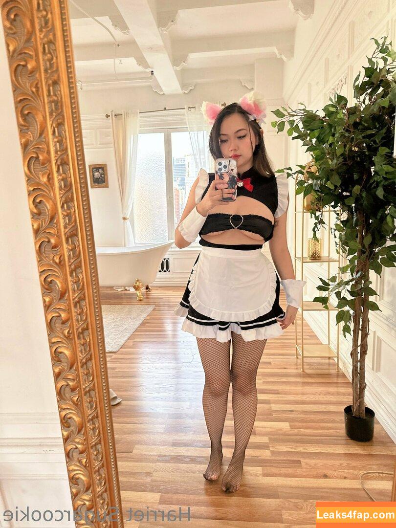 Harriet Sugarcookie / harrietsugarcookie / hsugarcookie / iamharrietsugarcookie leaked photo photo #0216