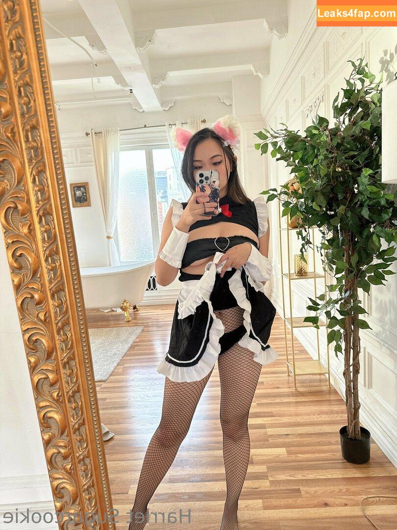 Harriet Sugarcookie / harrietsugarcookie / hsugarcookie / iamharrietsugarcookie leaked photo photo #0223