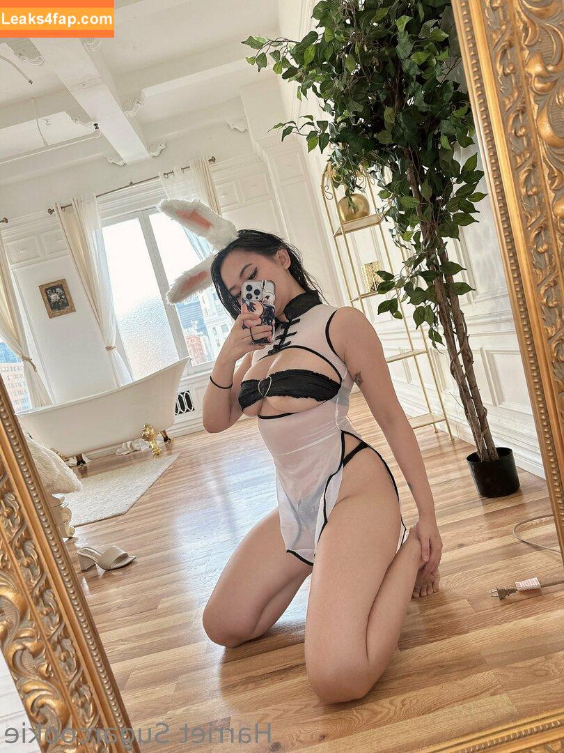 Harriet Sugarcookie / harrietsugarcookie / hsugarcookie / iamharrietsugarcookie leaked photo photo #0225