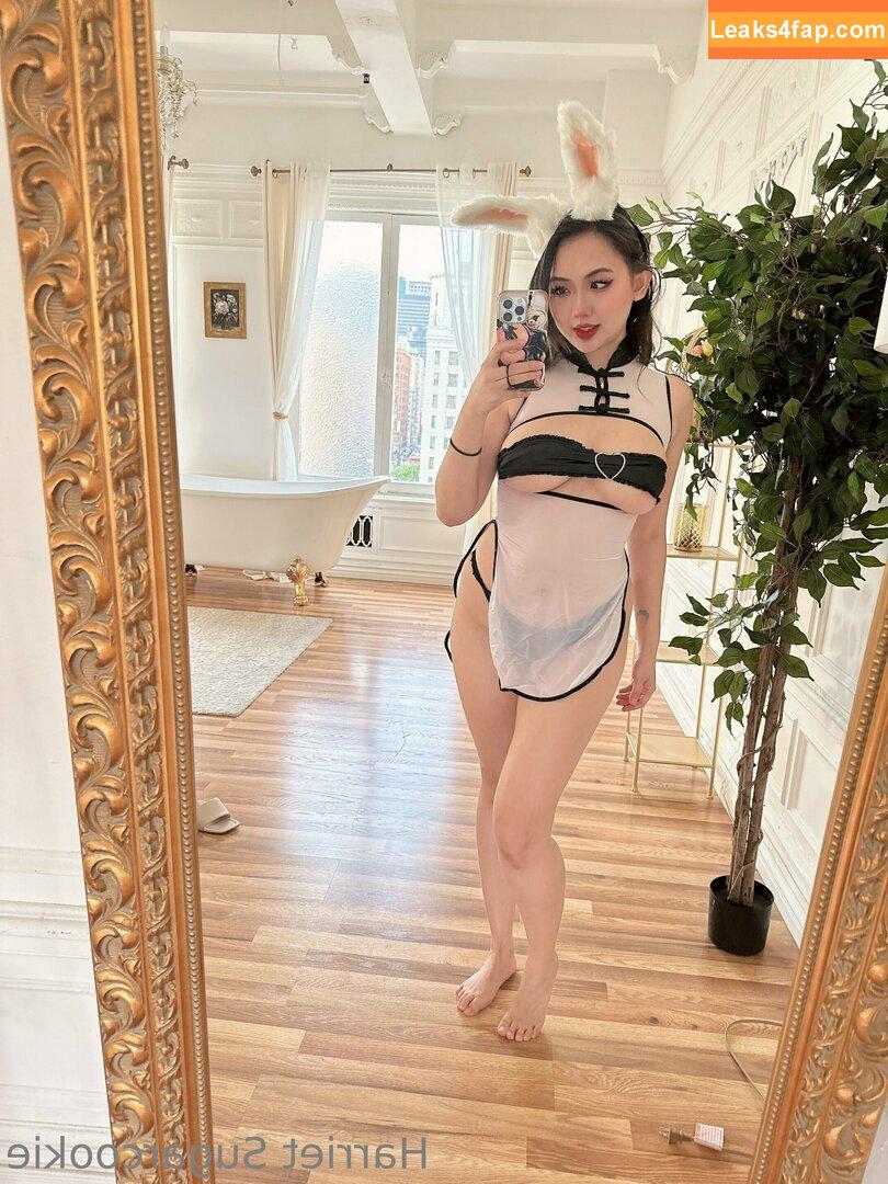 Harriet Sugarcookie / harrietsugarcookie / hsugarcookie / iamharrietsugarcookie leaked photo photo #0232