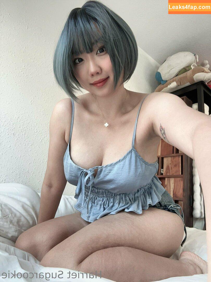 Harriet Sugarcookie / harrietsugarcookie / hsugarcookie / iamharrietsugarcookie leaked photo photo #0288