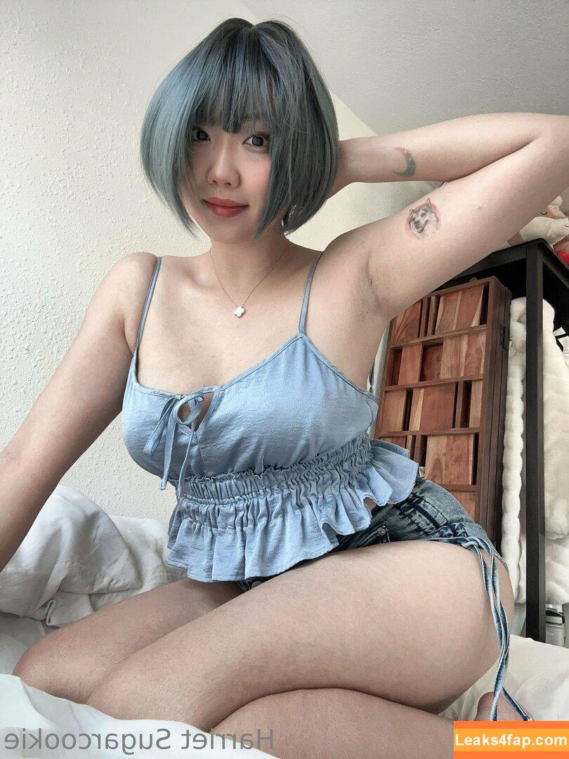 Harriet Sugarcookie / harrietsugarcookie / hsugarcookie / iamharrietsugarcookie leaked photo photo #0290
