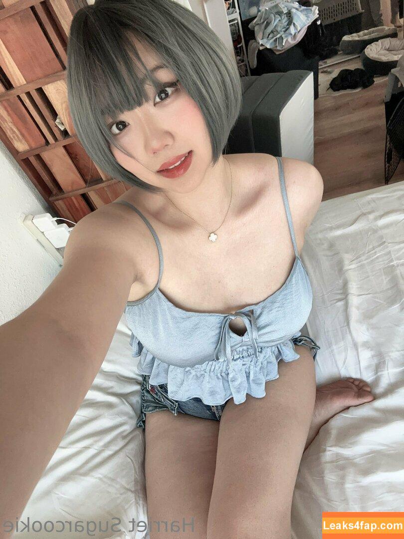 Harriet Sugarcookie / harrietsugarcookie / hsugarcookie / iamharrietsugarcookie leaked photo photo #0297