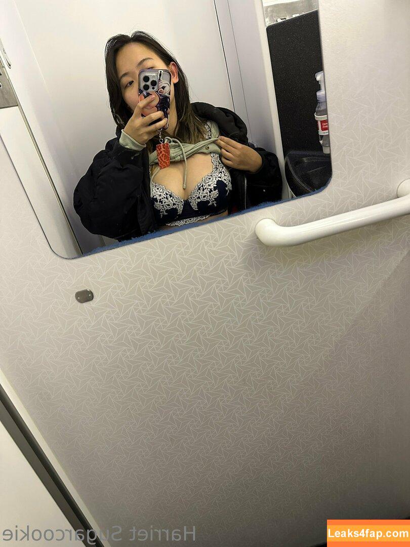 Harriet Sugarcookie / harrietsugarcookie / hsugarcookie / iamharrietsugarcookie leaked photo photo #0350