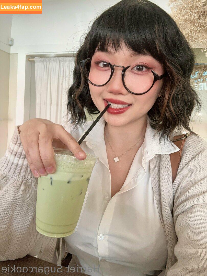 Harriet Sugarcookie / harrietsugarcookie / hsugarcookie / iamharrietsugarcookie leaked photo photo #0357