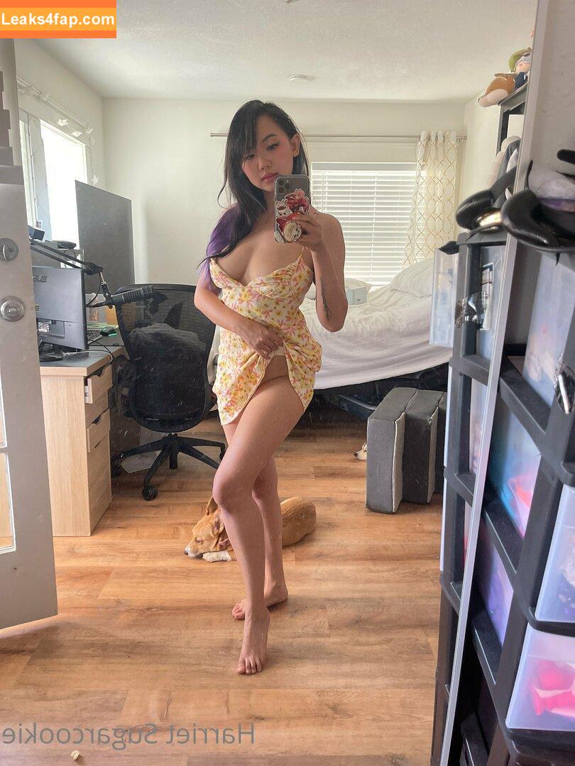 Harriet Sugarcookie / harrietsugarcookie / hsugarcookie / iamharrietsugarcookie leaked photo photo #0368
