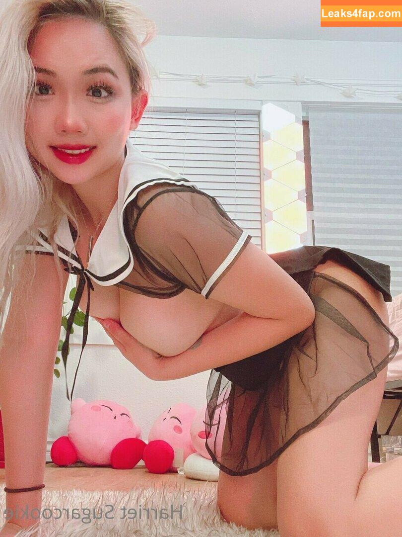 Harriet Sugarcookie / harrietsugarcookie / hsugarcookie / iamharrietsugarcookie leaked photo photo #0420