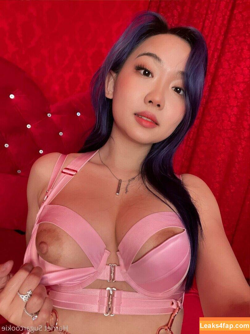 Harriet Sugarcookie / harrietsugarcookie / hsugarcookie / iamharrietsugarcookie leaked photo photo #0438