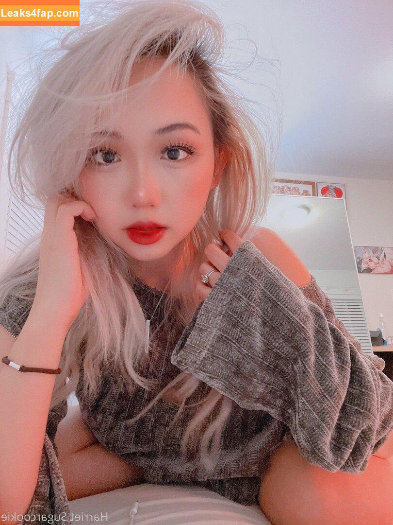 harrietsugarcookie / hazsugarcookie / hsugarcookie leaked photo photo #0016