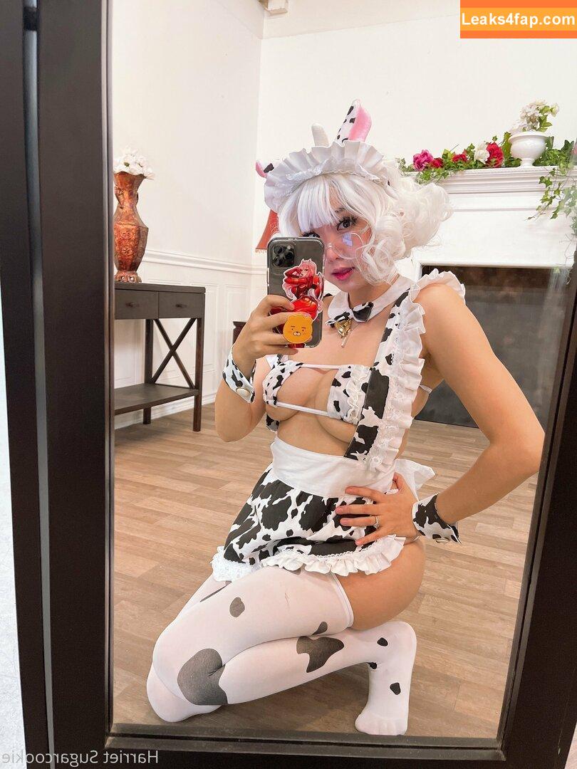 harrietsugarcookie / hazsugarcookie / hsugarcookie слитое фото фото #0025