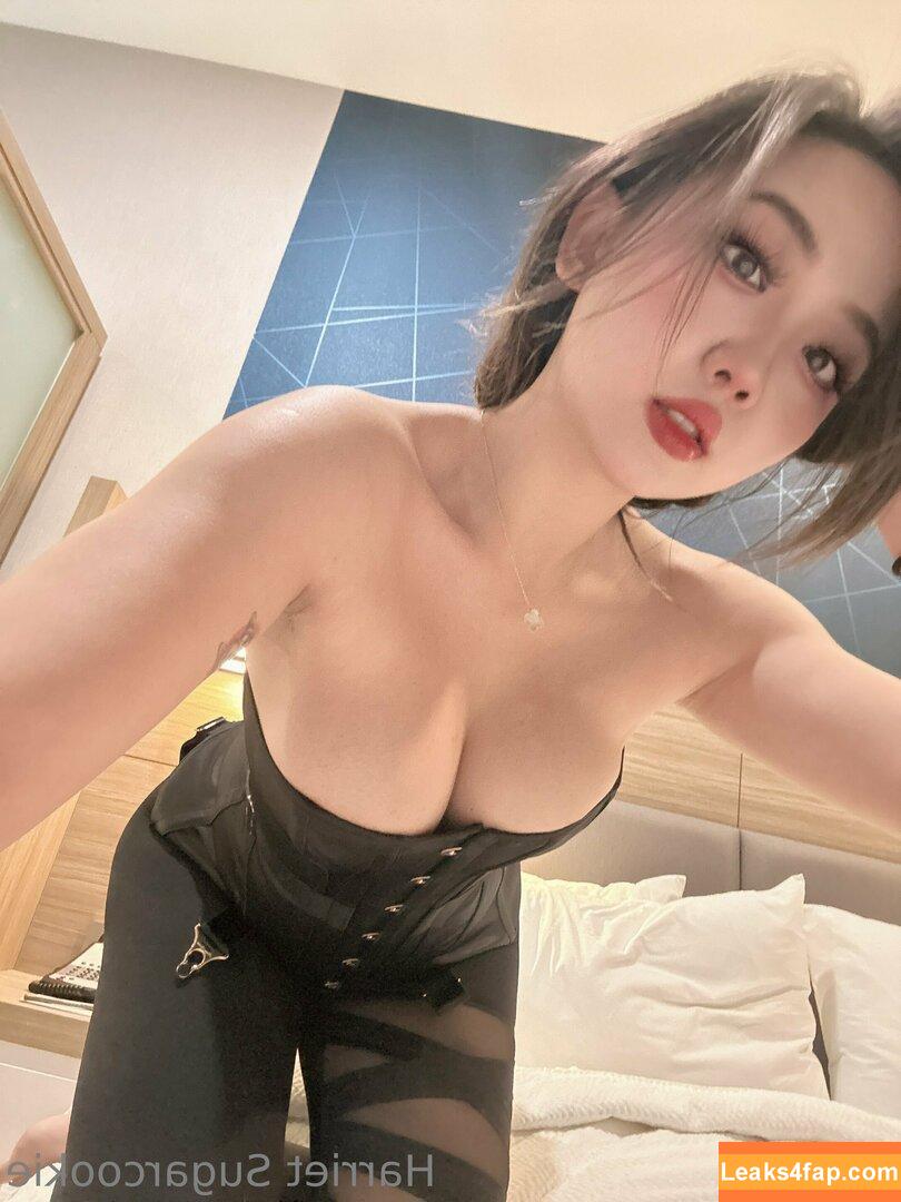 harrietsugarcookie / hazsugarcookie / hsugarcookie слитое фото фото #0060