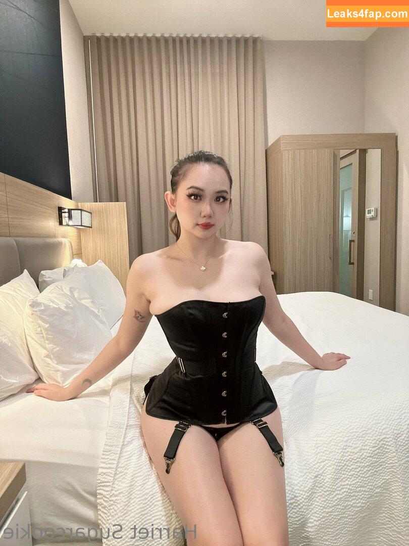 harrietsugarcookie / hazsugarcookie / hsugarcookie слитое фото фото #0062