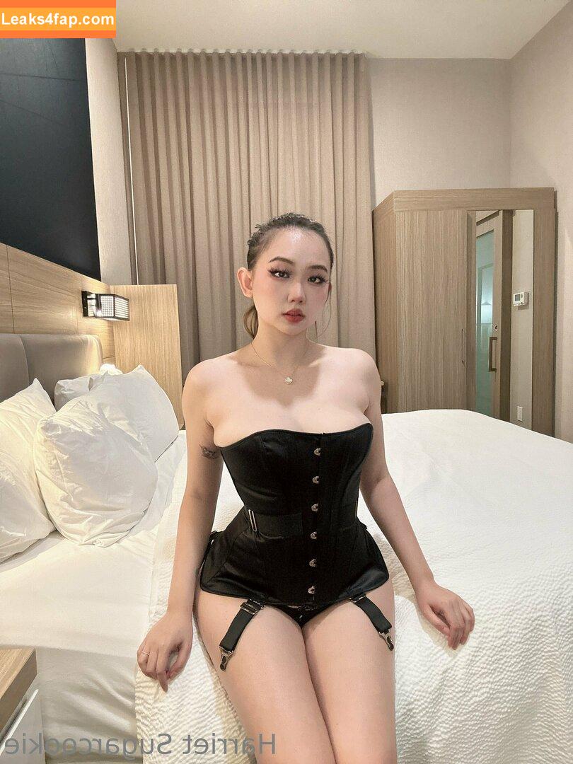 harrietsugarcookie / hazsugarcookie / hsugarcookie слитое фото фото #0068