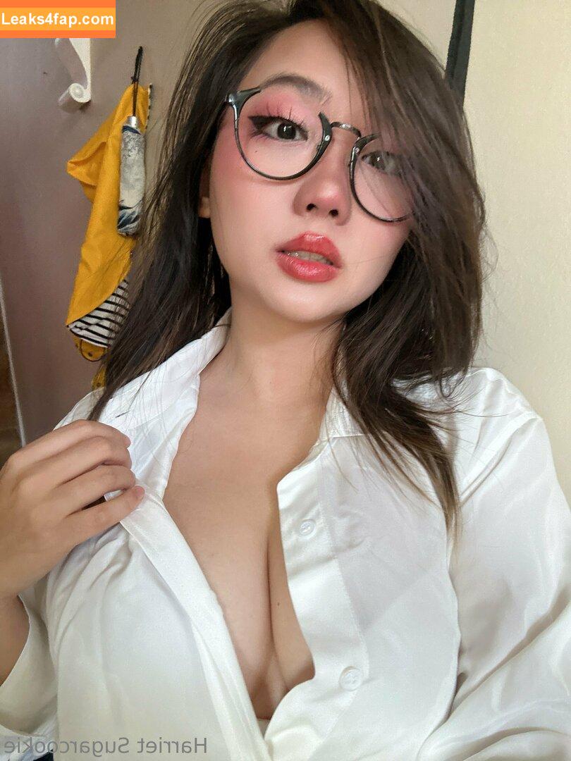 harrietsugarcookie / hazsugarcookie / hsugarcookie слитое фото фото #0238