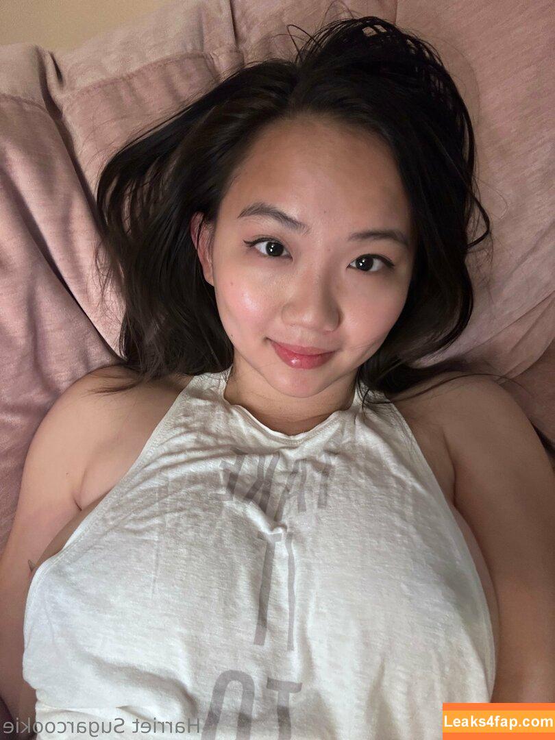 harrietsugarcookie / hsugarcookie / iamharrietsugarcookie leaked photo photo #0298