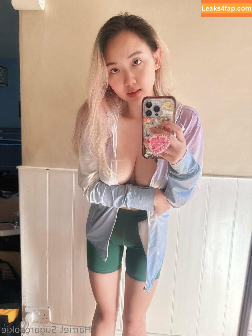 harrietsugarcookie / hsugarcookie / iamharrietsugarcookie leaked photo photo #0499