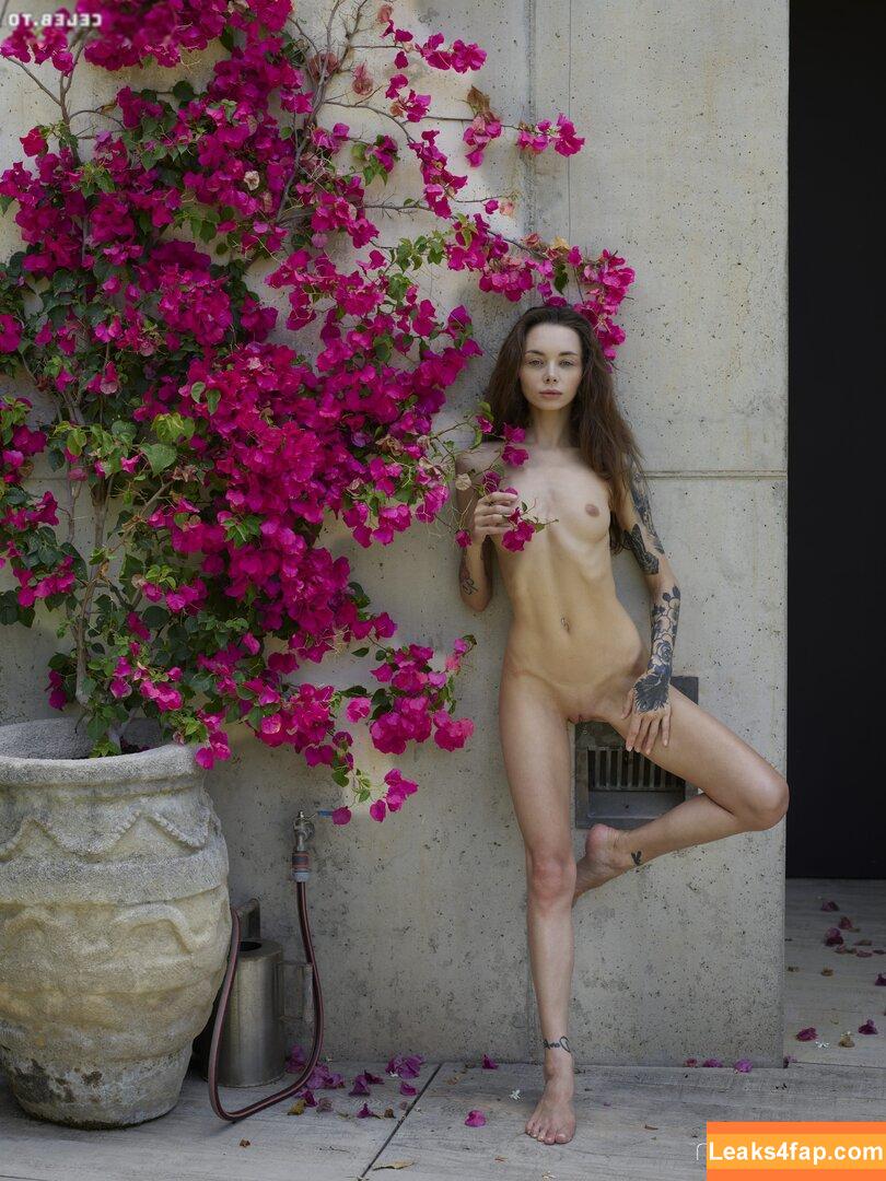 Hegre / hegreworld / theemilybloom leaked photo photo #5727