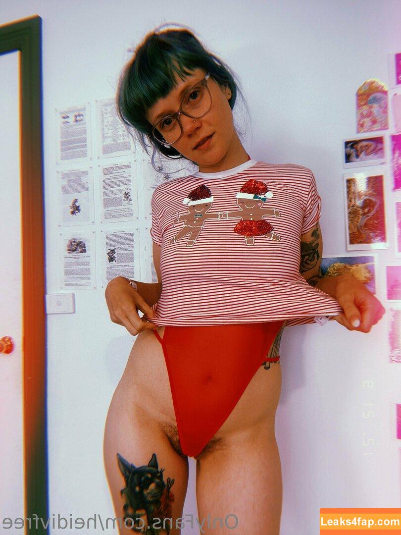 heidivfree / heidivnet leaked photo photo #0022