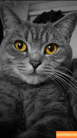 Heidy Pino photo #0133