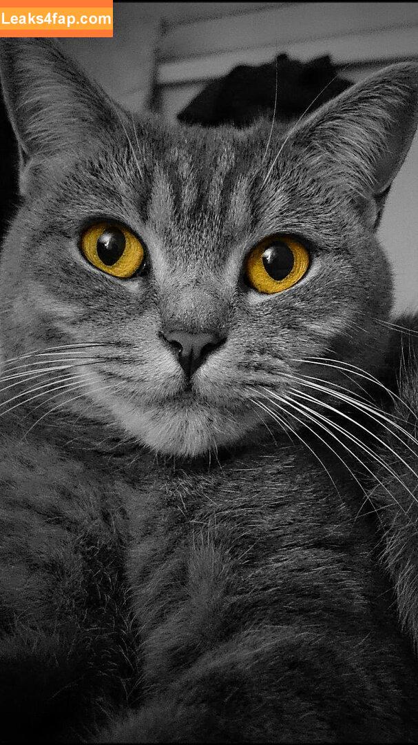 Heidy Pino / Blowjob / Heidymodel Fake Handjob / heidy_pino leaked photo photo #1769