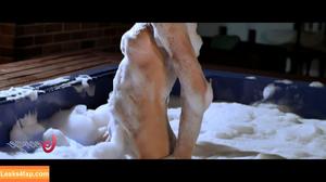 Heidy Pino photo #1646