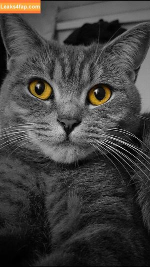 Heidy Pino photo #1769