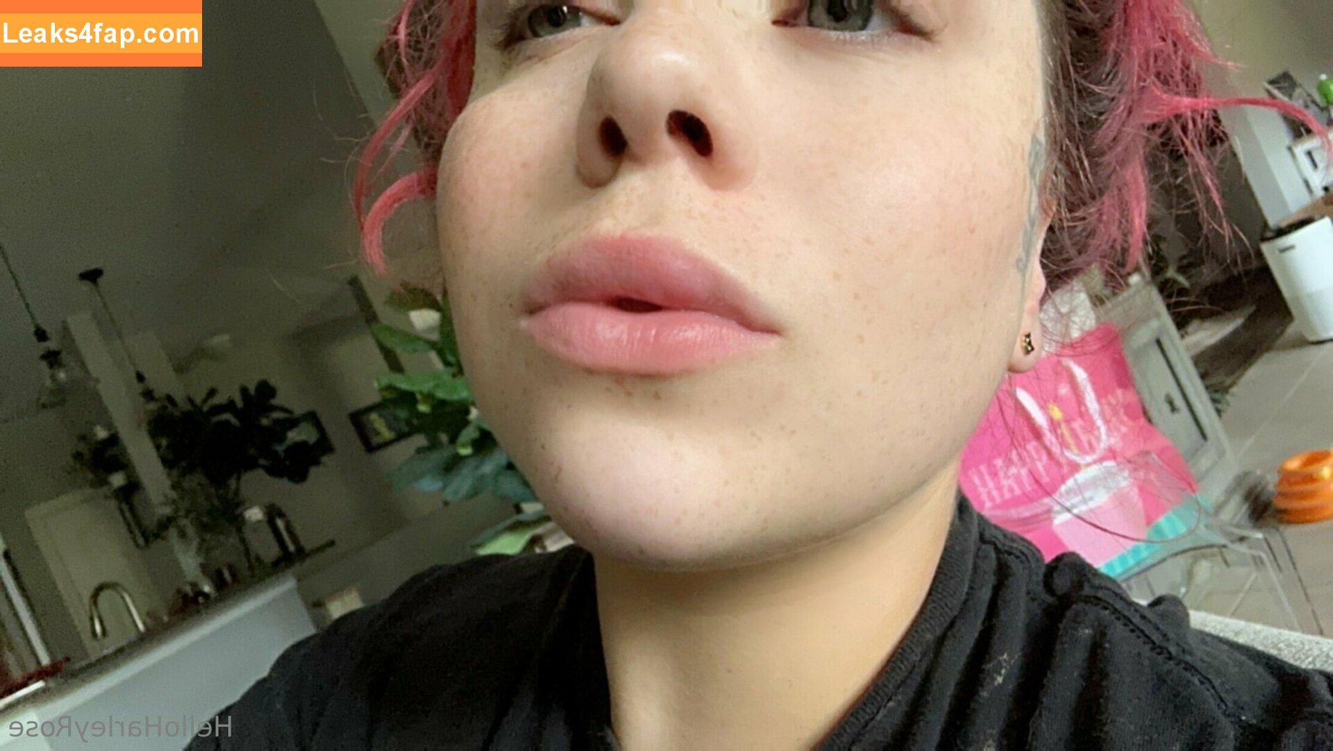 helloharleyrose / Harley Rose / harleyrose666 / hello.harleyrose leaked photo photo #0408