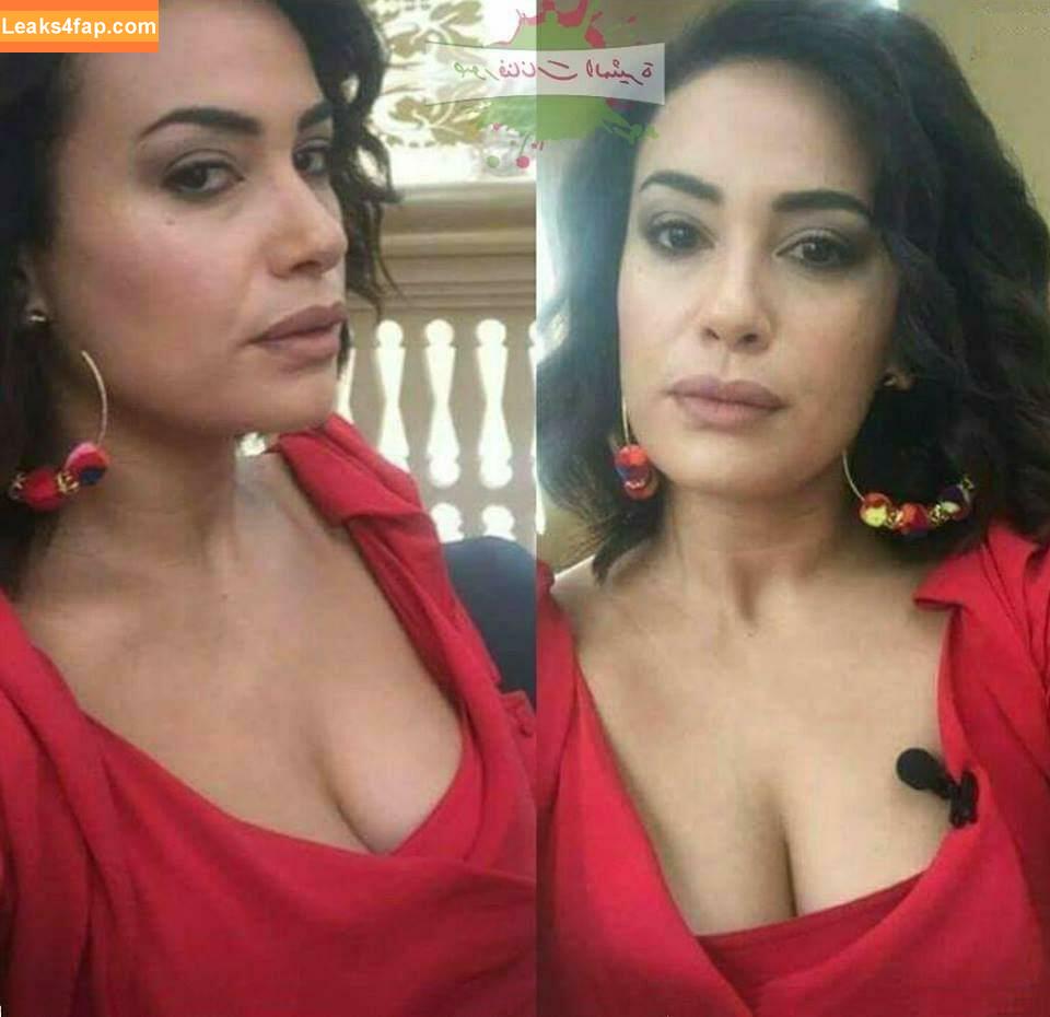 Hend Sabry / hendsabri leaked photo photo #0097