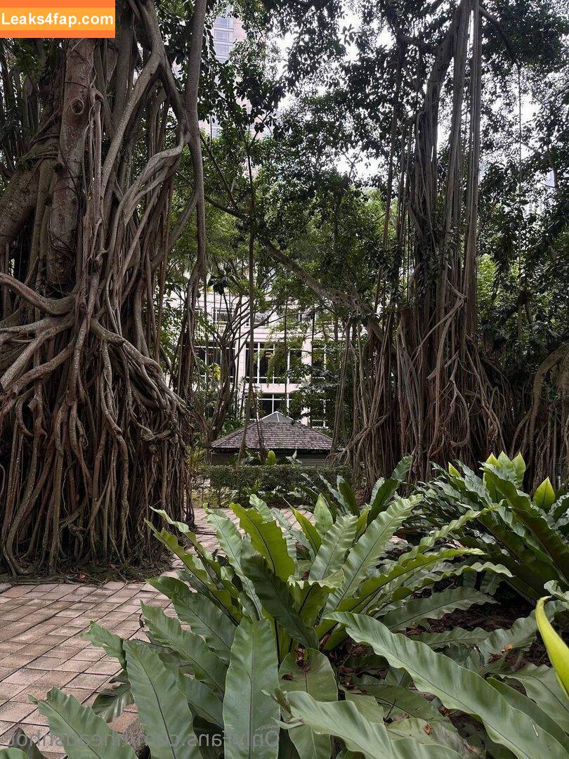 HheadShhot / hheartshhot leaked photo photo #0755