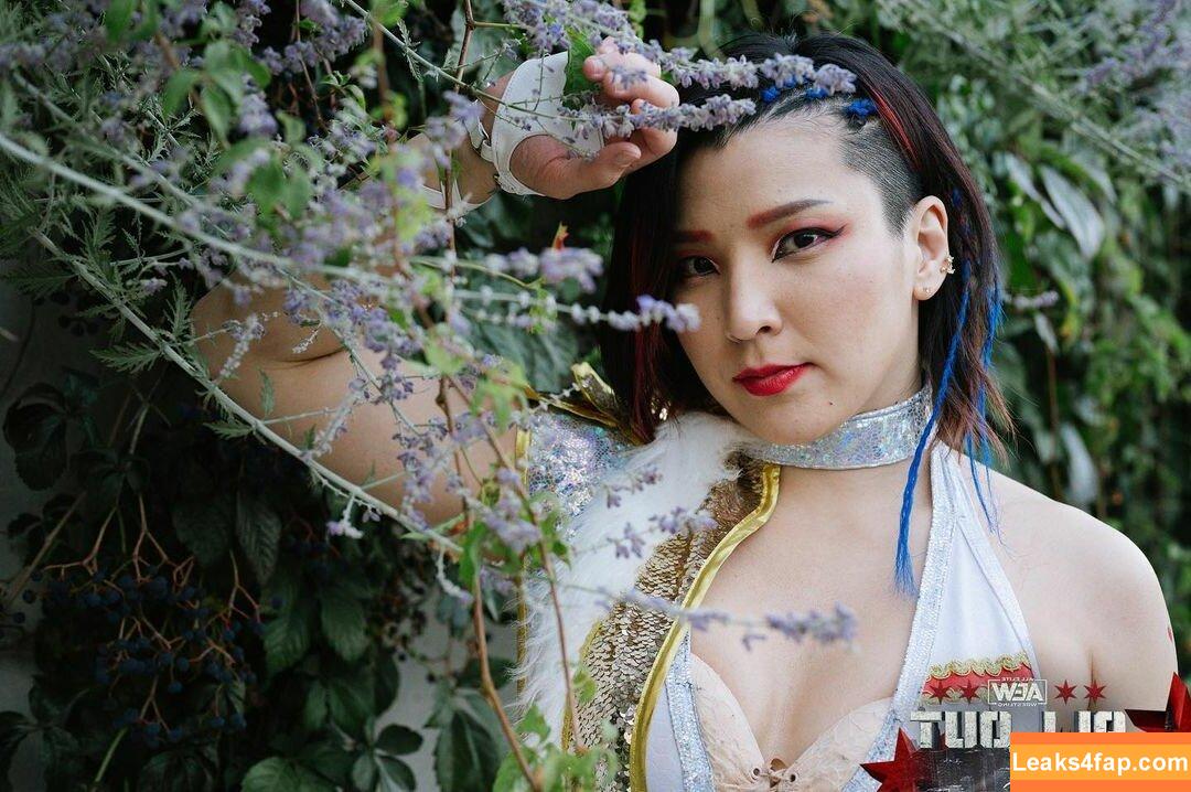 Hikaru Shida / shidahikaru leaked photo photo #0164