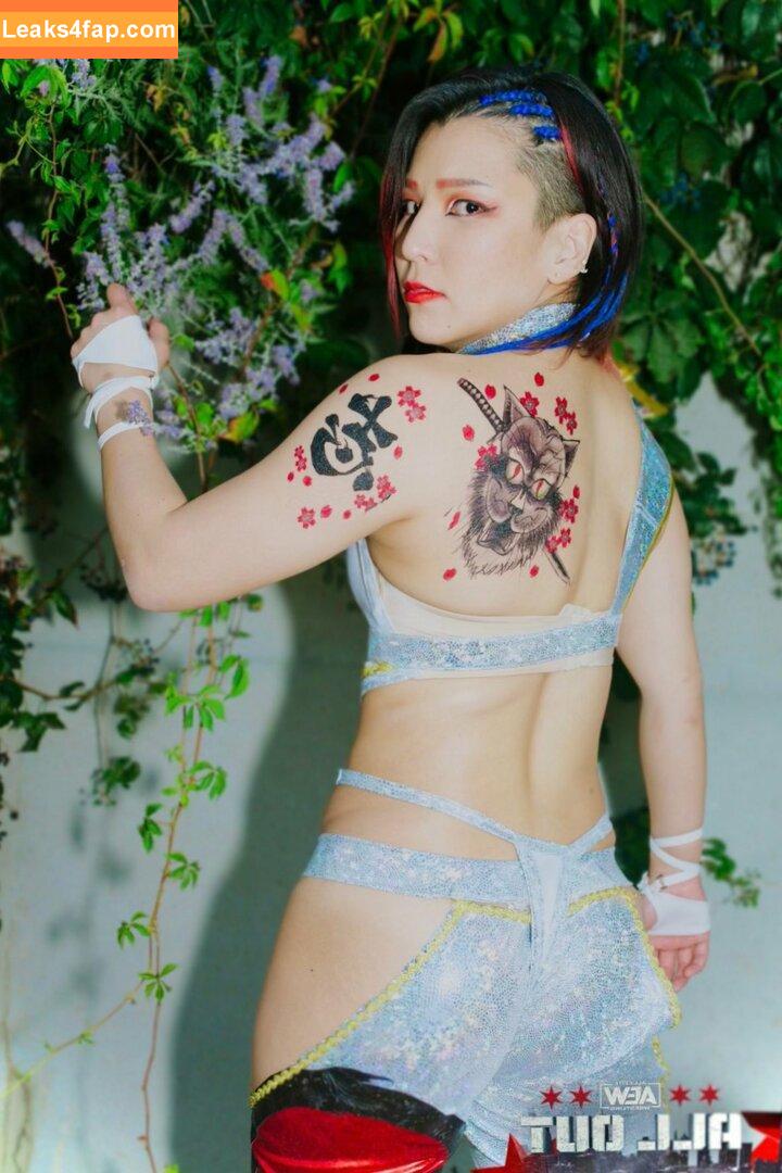 Hikaru Shida / shidahikaru leaked photo photo #0165