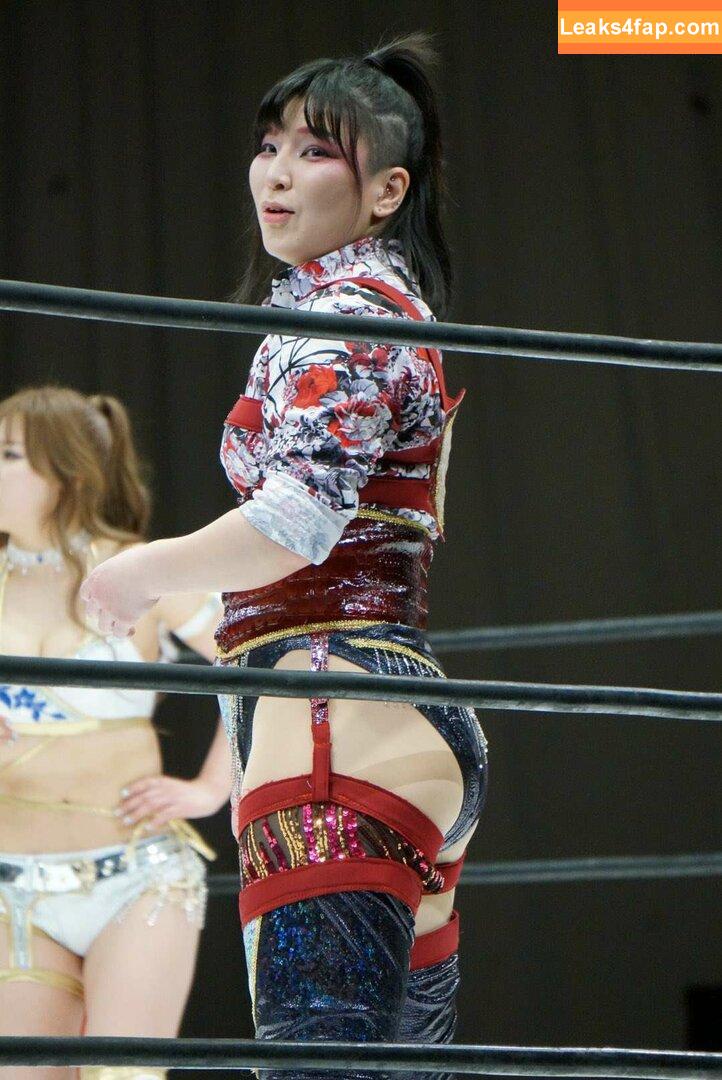 Hikaru Shida / shidahikaru leaked photo photo #0414